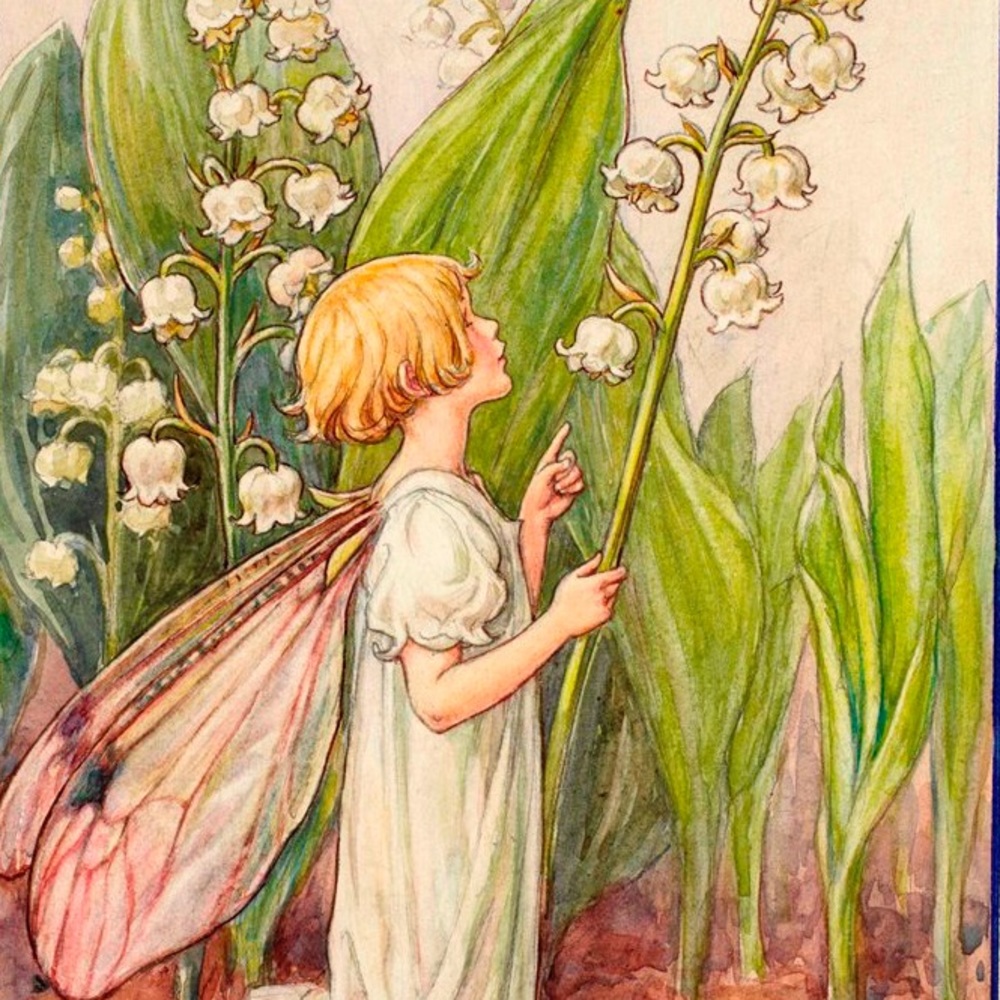Meet your Posher, Daisy the Fairy